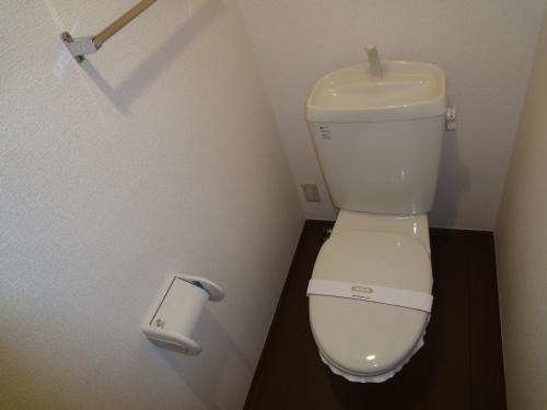 Other. Your toilet