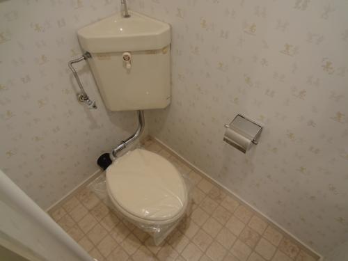 Other. Your toilet