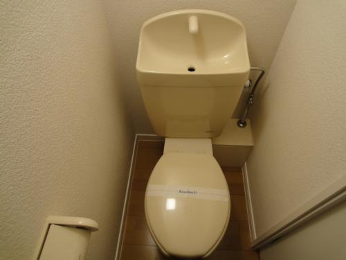 Toilet. Toilet