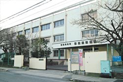 Other Environmental Photo. Or grow bitter gourd as a green curtain in the 880m school until junior high school Domyoji, Planting the seeds of sunflower, Also enjoy the event in the Summer Festival and the (fiscal 2011), Likely to send a fun school life