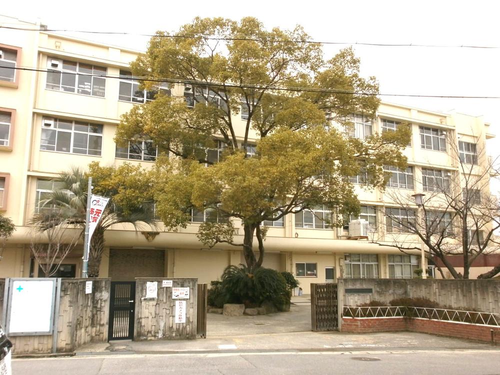 Primary school. Habikino Municipal Eganosho to elementary school 617m