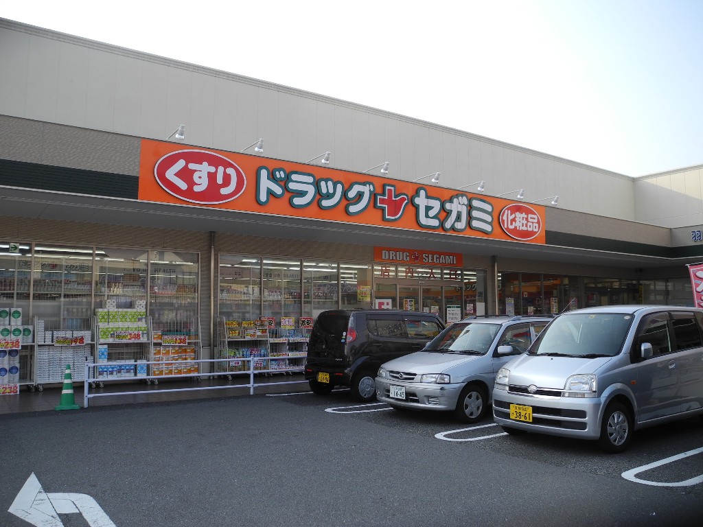 Dorakkusutoa. Drag Segami Shimaizumi shop 865m until (drugstore)