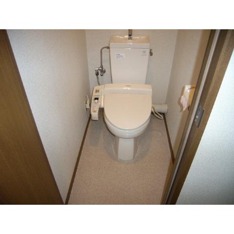 Toilet. Cleaning toilet seat to the toilet