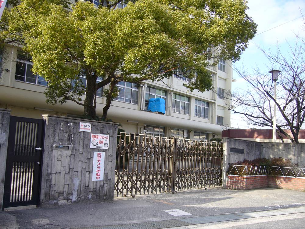 Primary school. Habikino Municipal Eganosho to elementary school 503m