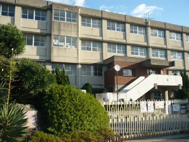 Junior high school. Habikino Municipal Takasu to South Junior High School 539m