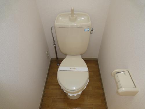 Other. Your toilet