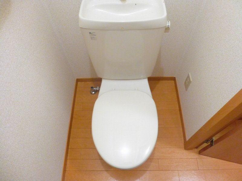 Toilet. It is a toilet with a bright and clean feeling