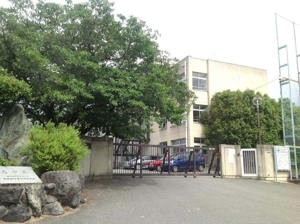 Junior high school. Habikino Municipal Kawaharajo until junior high school 641m