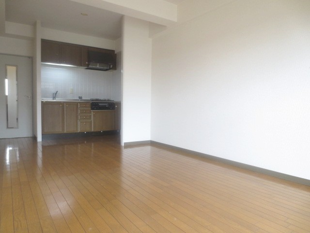 Living and room. Spacious LDK space
