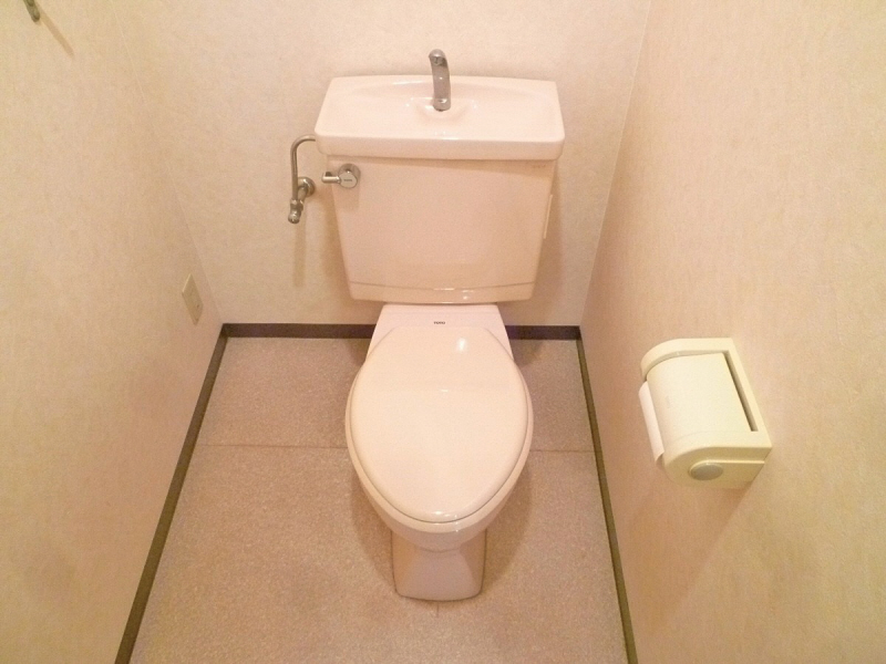 Toilet. Commonplace shower toilet can be installed because there is an electrical outlet.