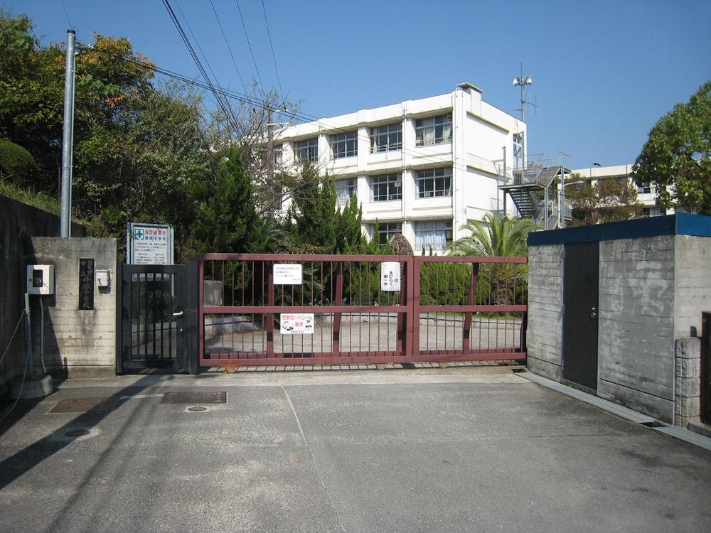 Junior high school. Habikino City Minetsuka until junior high school 776m
