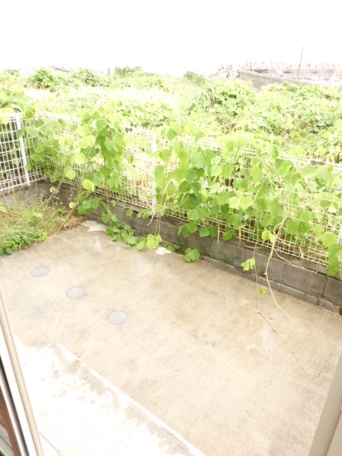 Garden. It is a dedicated garden ☆ 