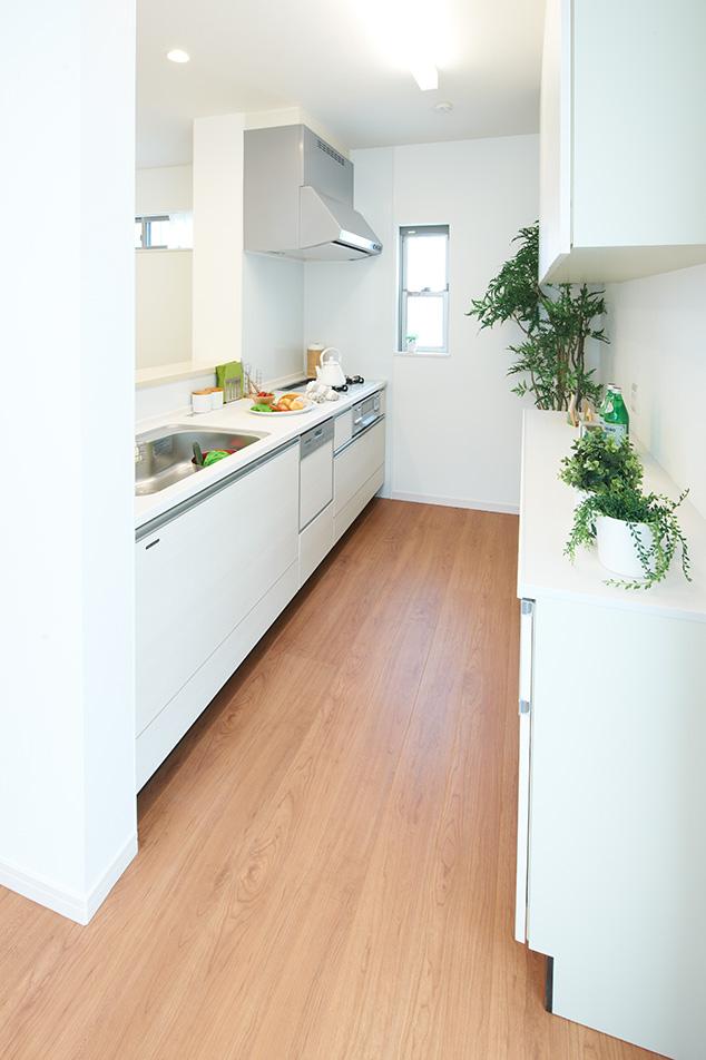 Same specifications photo (kitchen). Kitchen (local model house)