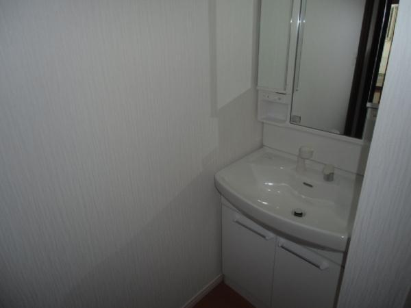 Wash basin, toilet. Storage lot, Vanity with shower