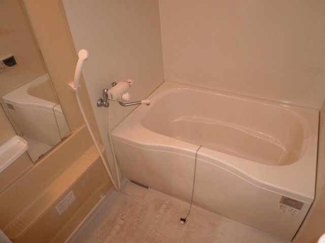 Bath. It is spacious tub bath