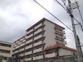 Local appearance photo. Local (12 May 2013) Shooting