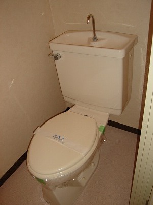 Toilet