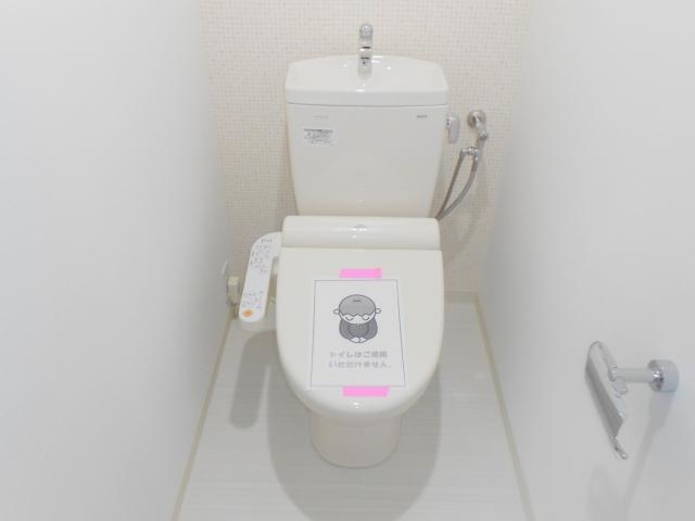 Toilet. With hot water cleaning function