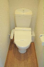 Toilet. It is a toilet with a warm water washing toilet seat