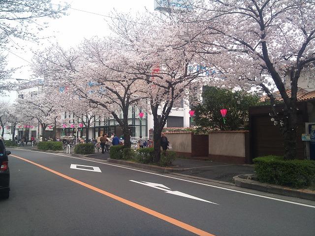 Streets around. 600m until the cherry trees in front of the station