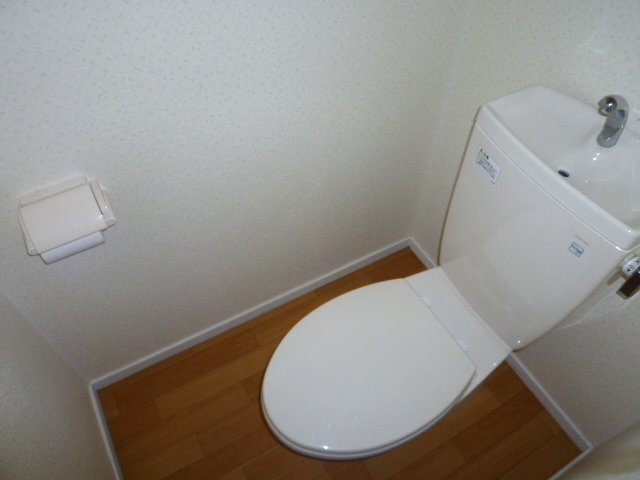 Toilet. Beautiful separate toilet.