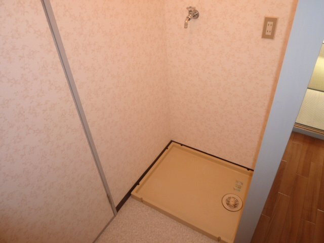 Washroom. Washing machine storage is located in the room.