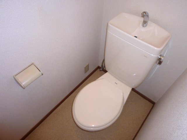 Toilet. It is a shelf with a restroom.
