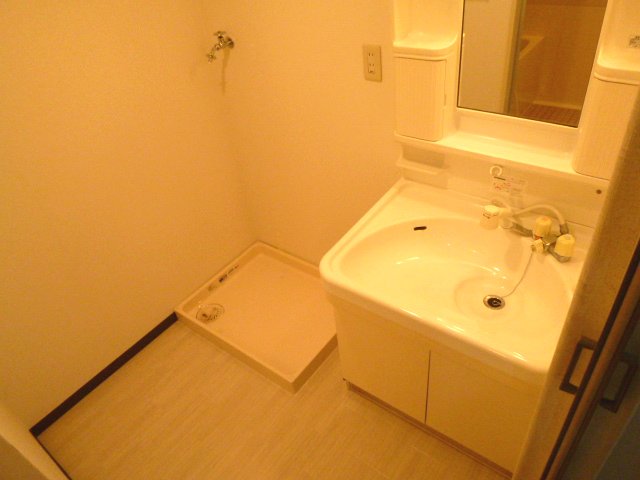 Washroom. Shampoo with Dresser. 