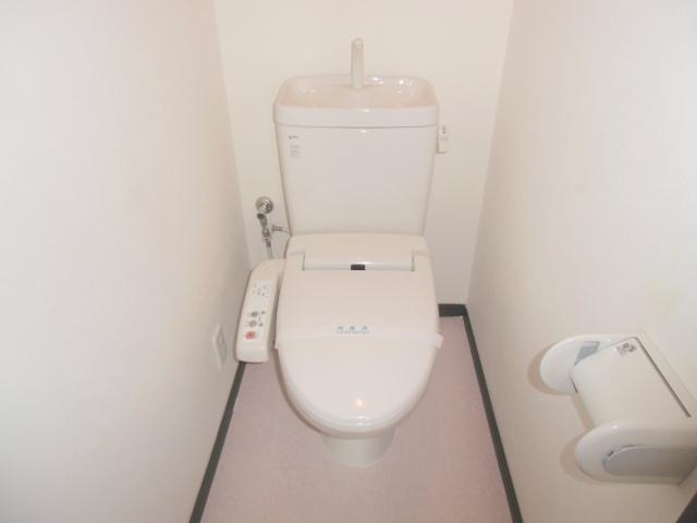 Toilet. It is a high-function toilet