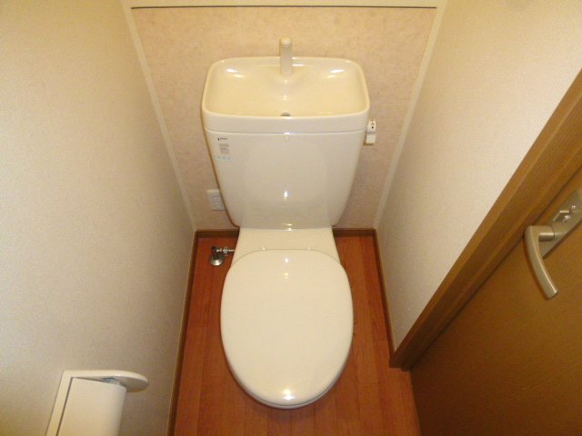 Toilet. Washlet is possible installation