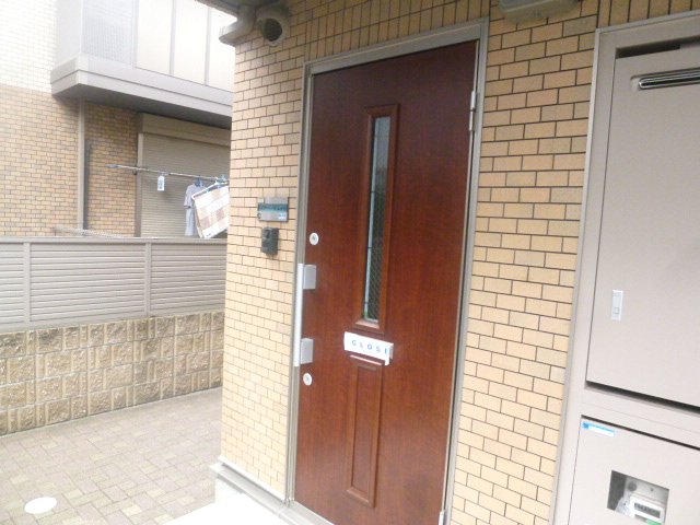 Entrance. Stylish door. 