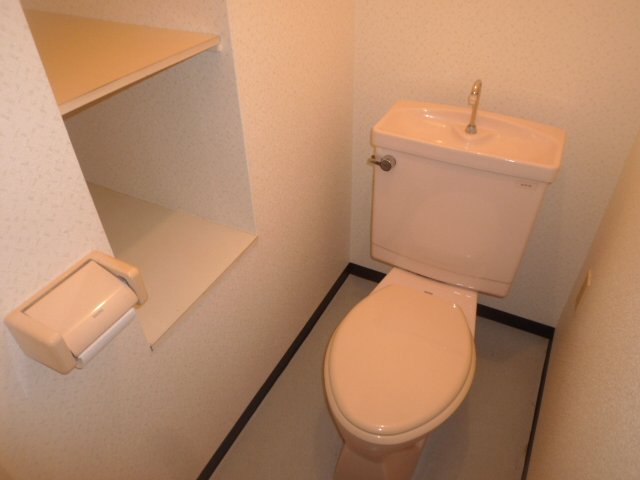 Toilet. There are a lot of storage is is the toilet. 