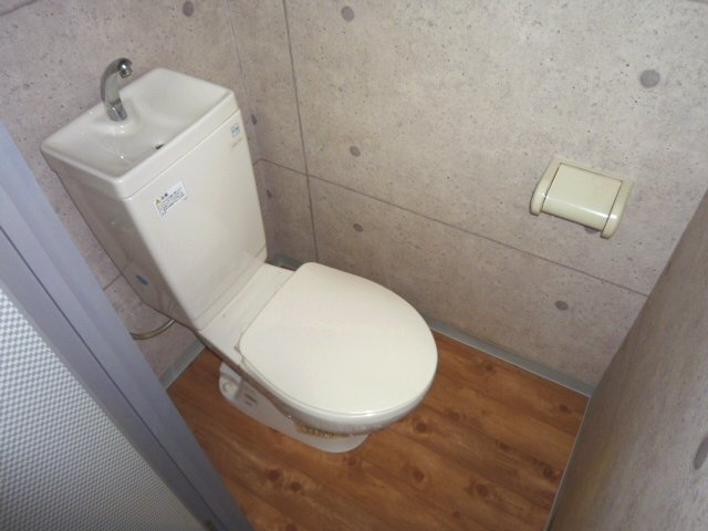 Toilet. It is very fashionable toilet. 