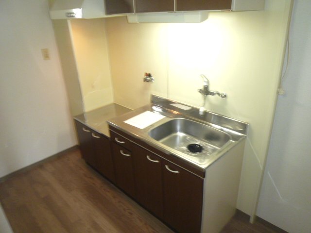 Kitchen. Gas stove is installed can be stylish kitchen.