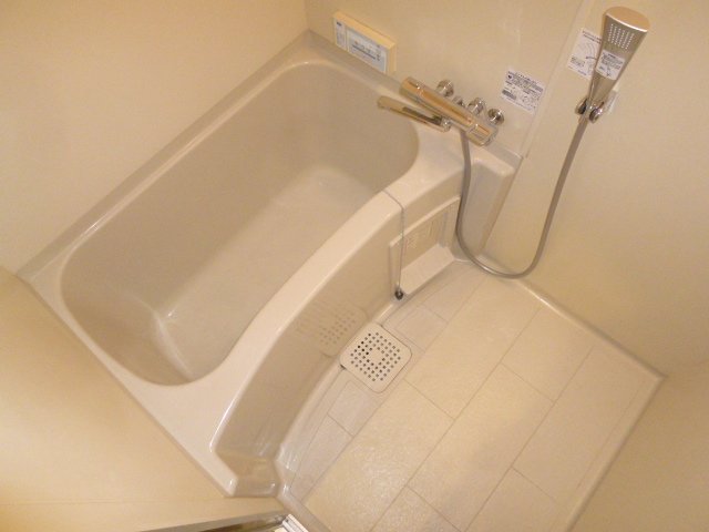 Bath. It is spacious bathroom space.