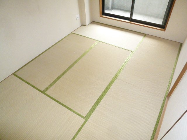 Other room space. Sunny Japanese-style room.