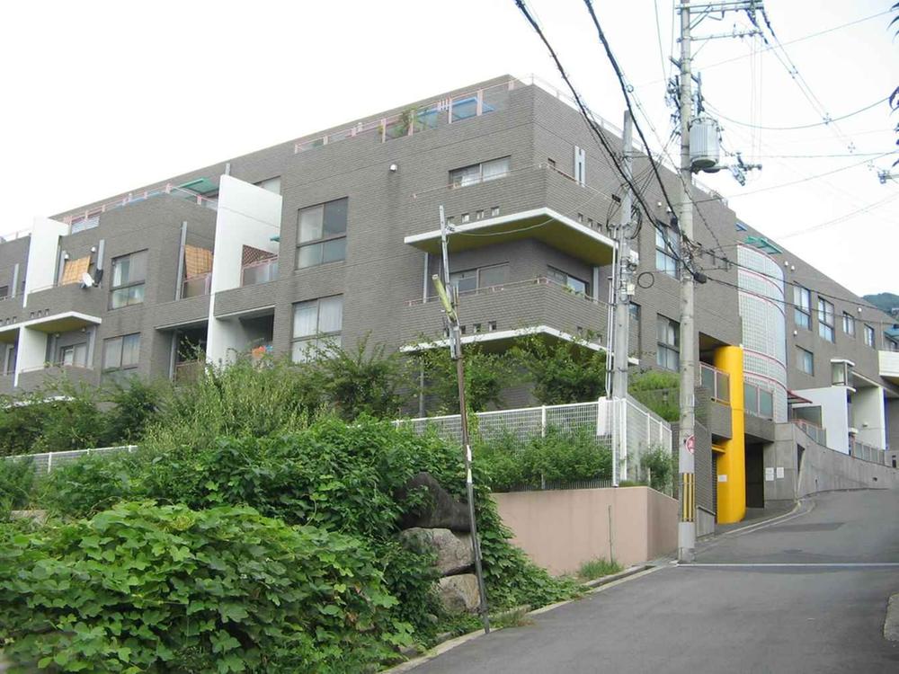 Local appearance photo. Local (02 May 2012) shooting