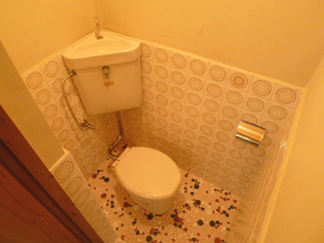 Toilet. Western-style toilet. 