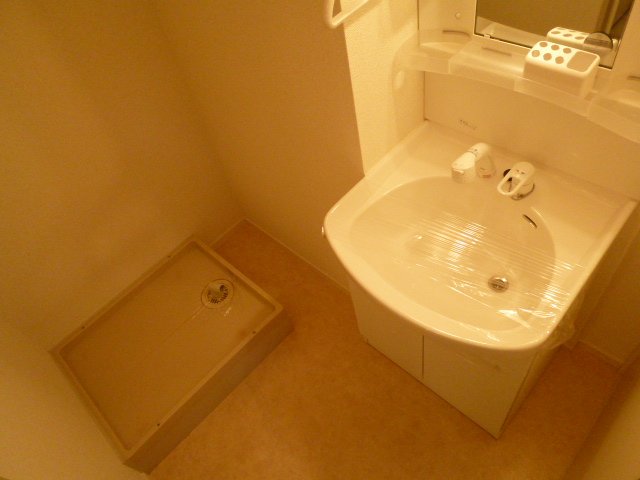 Washroom. It comes with a shampoo dresser