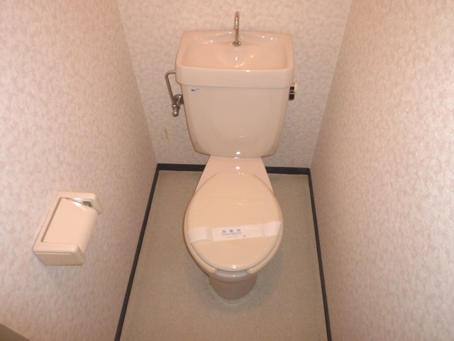 Toilet. Stylish cross of toilet. 