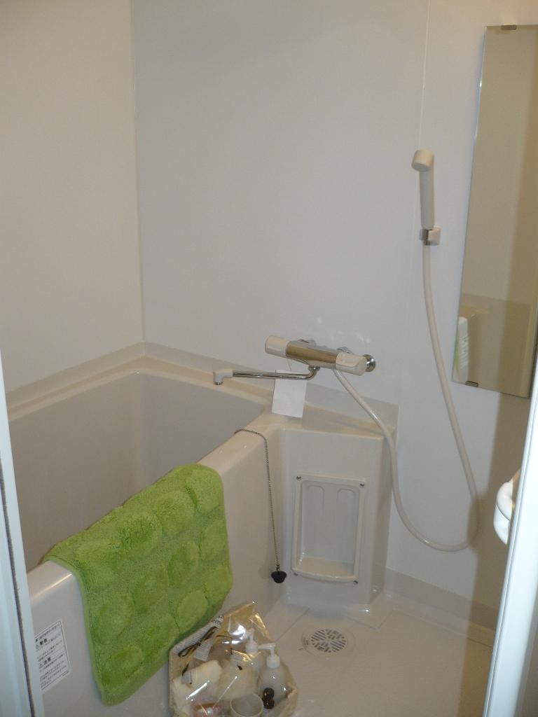 Bathroom. Indoor (10 May 2013) Shooting