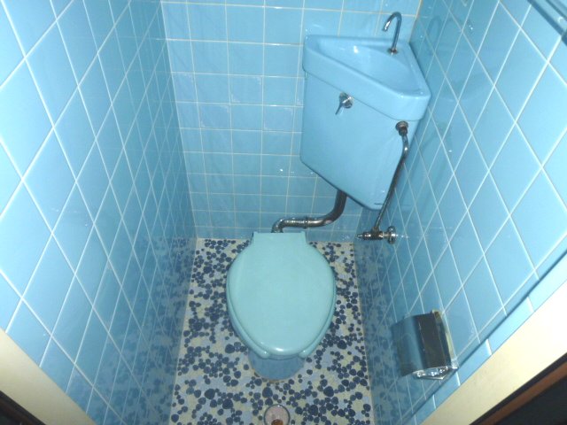 Toilet. It is tiled stylish toilet. 