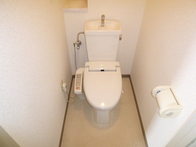 Toilet. It is comfortable with a bidet. 