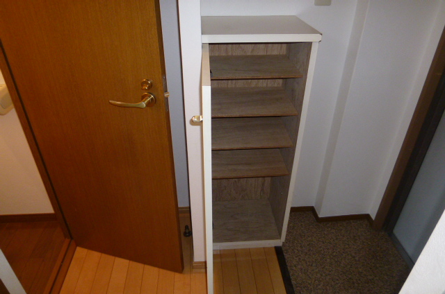 Entrance. Cupboard