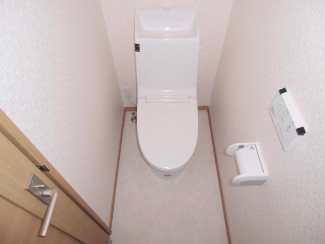 Toilet. With hot water cleaning function