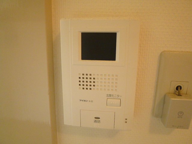 Security. TV is a monitor with intercom. 