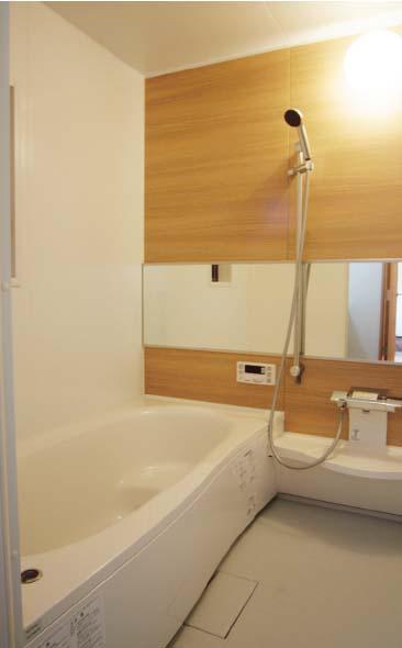 Bathroom. Indoor (11 May 2013) Shooting