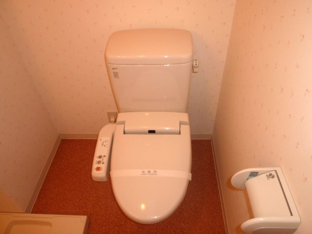 Toilet. It is with a bidet. 