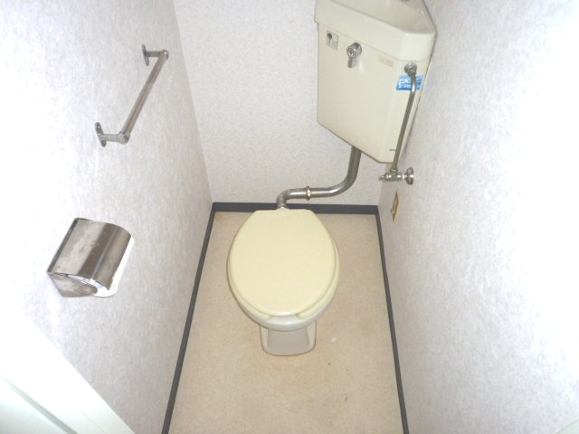 Toilet. It is a simple toilet. 