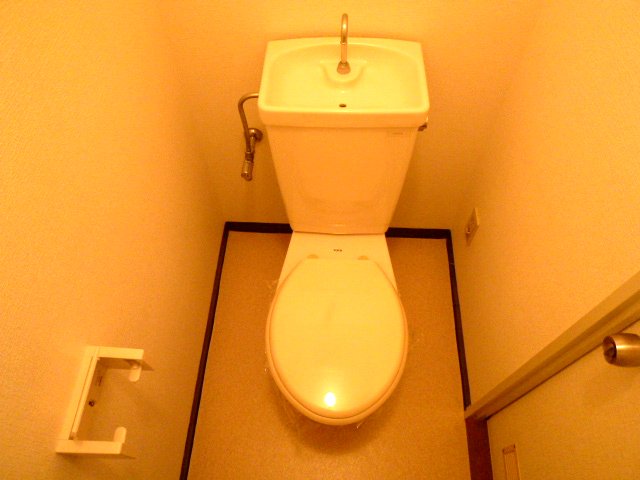 Toilet. Stylish toilet. 